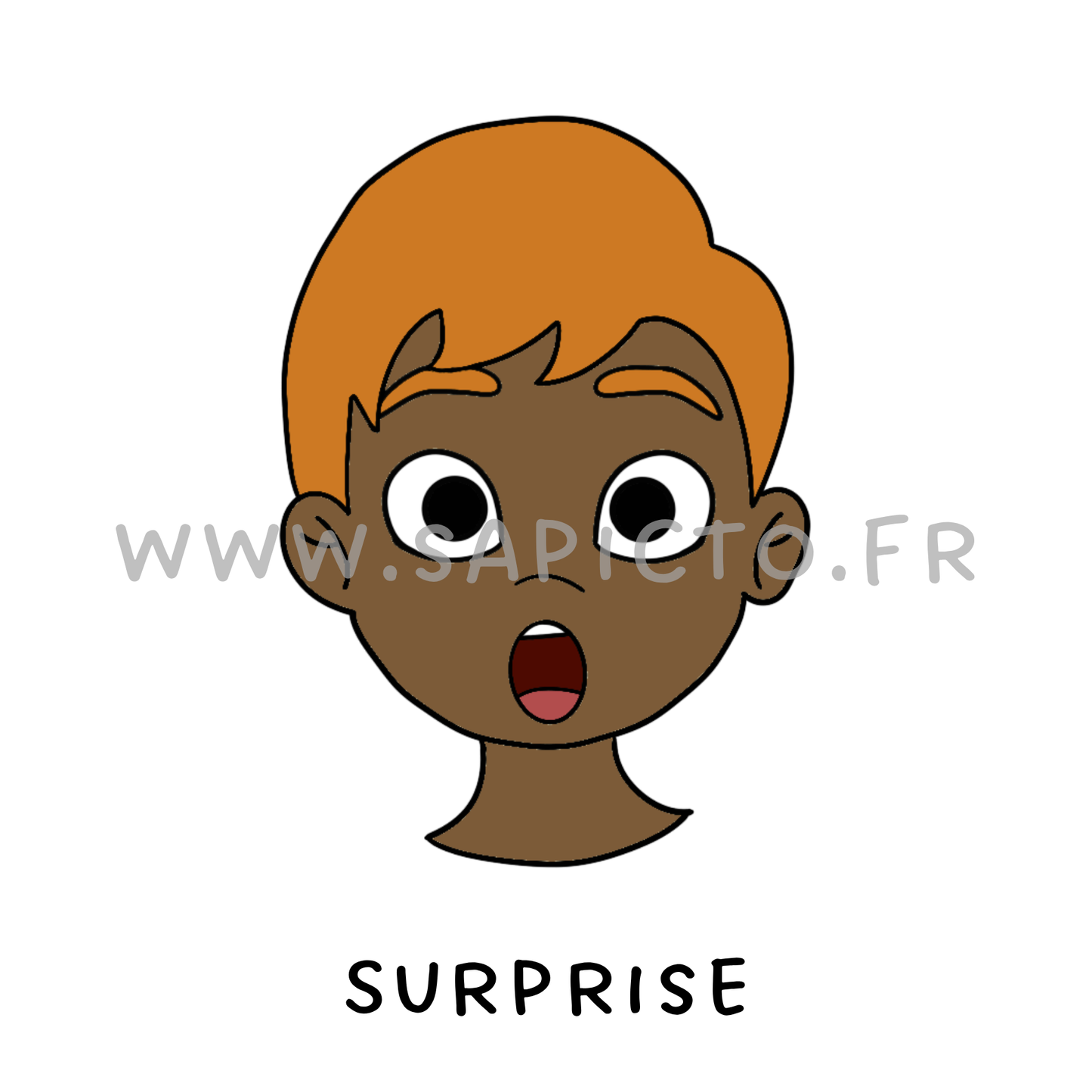Surprise