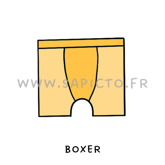 Boxer