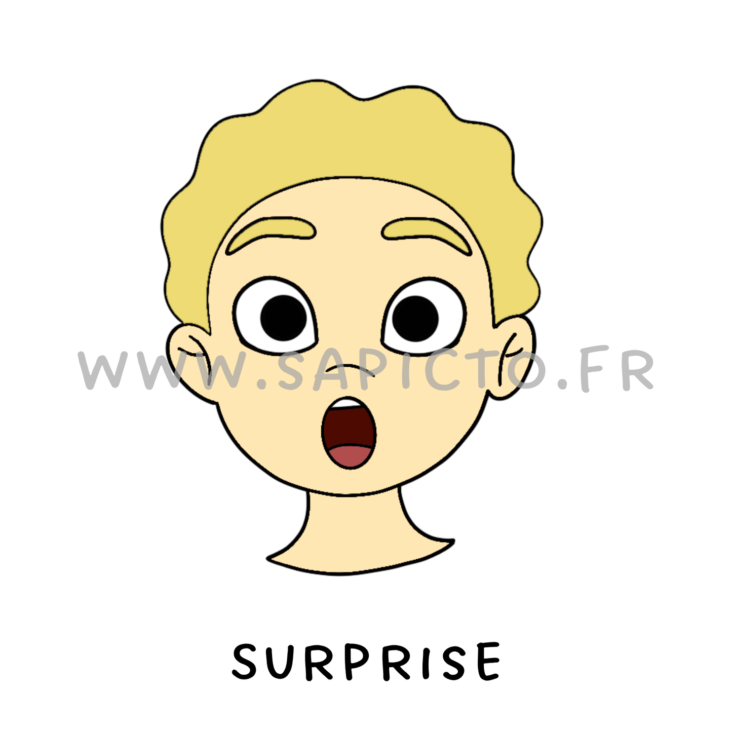 Surprise