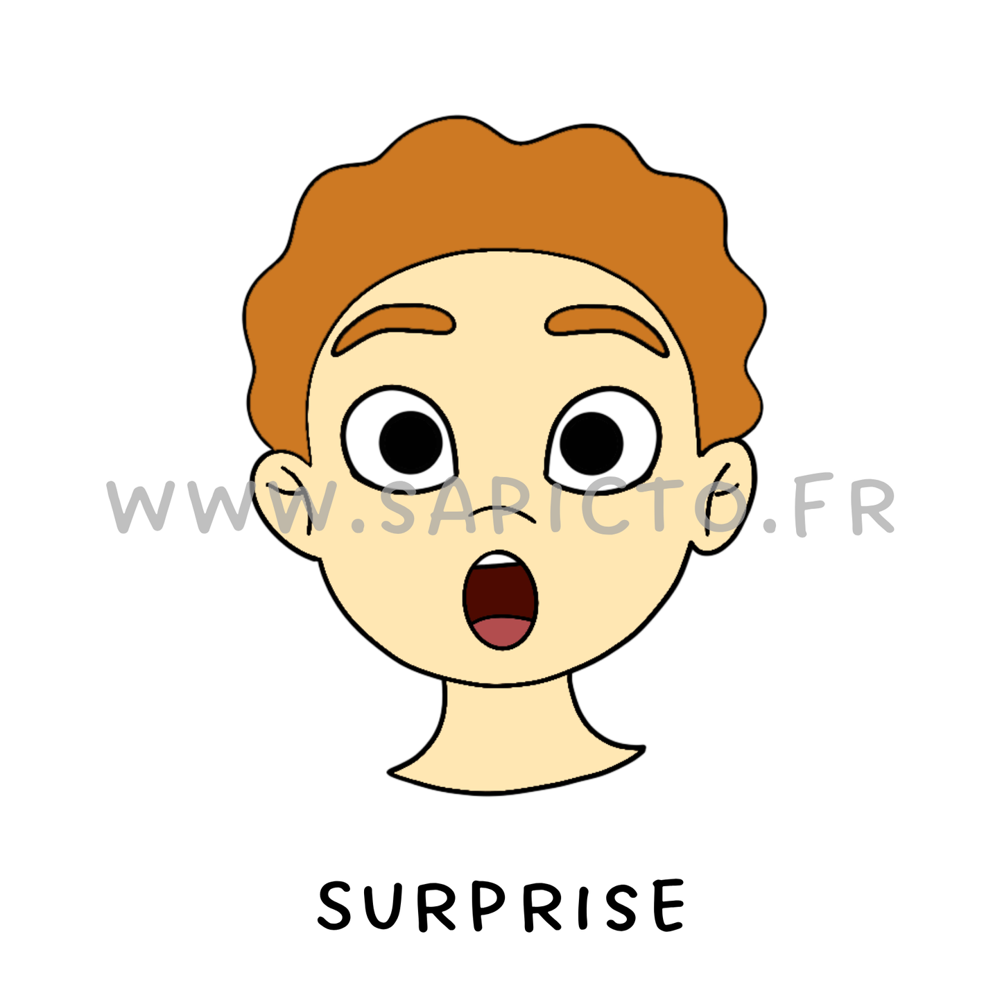 Surprise