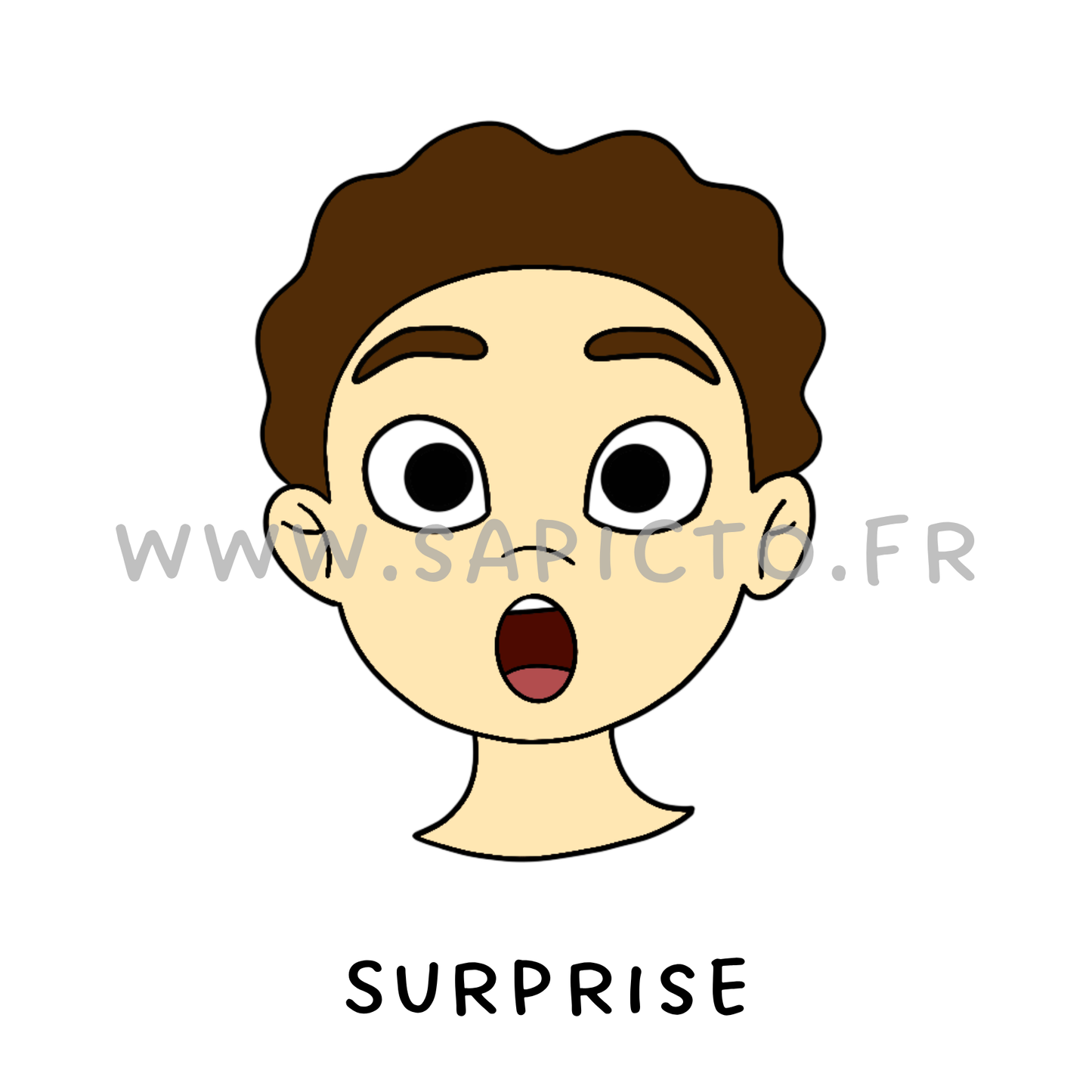 Surprise