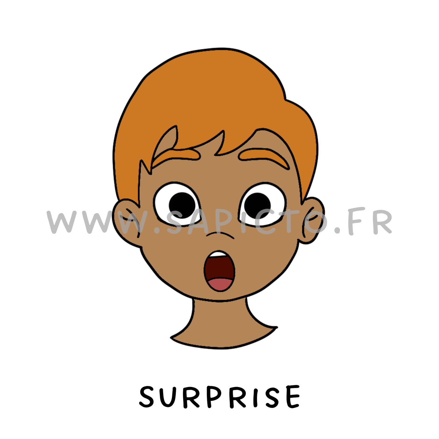 Surprise