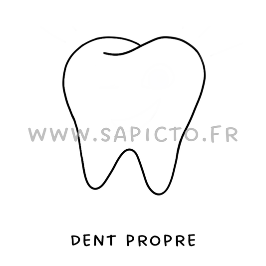 Dent propre